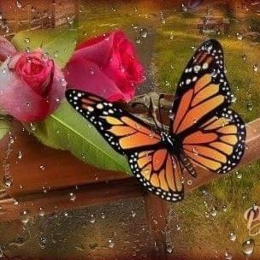 Meet your Posher, Sundee